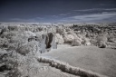 DJI 0236
