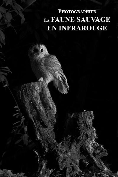Photographier la faune en Infrarouge
